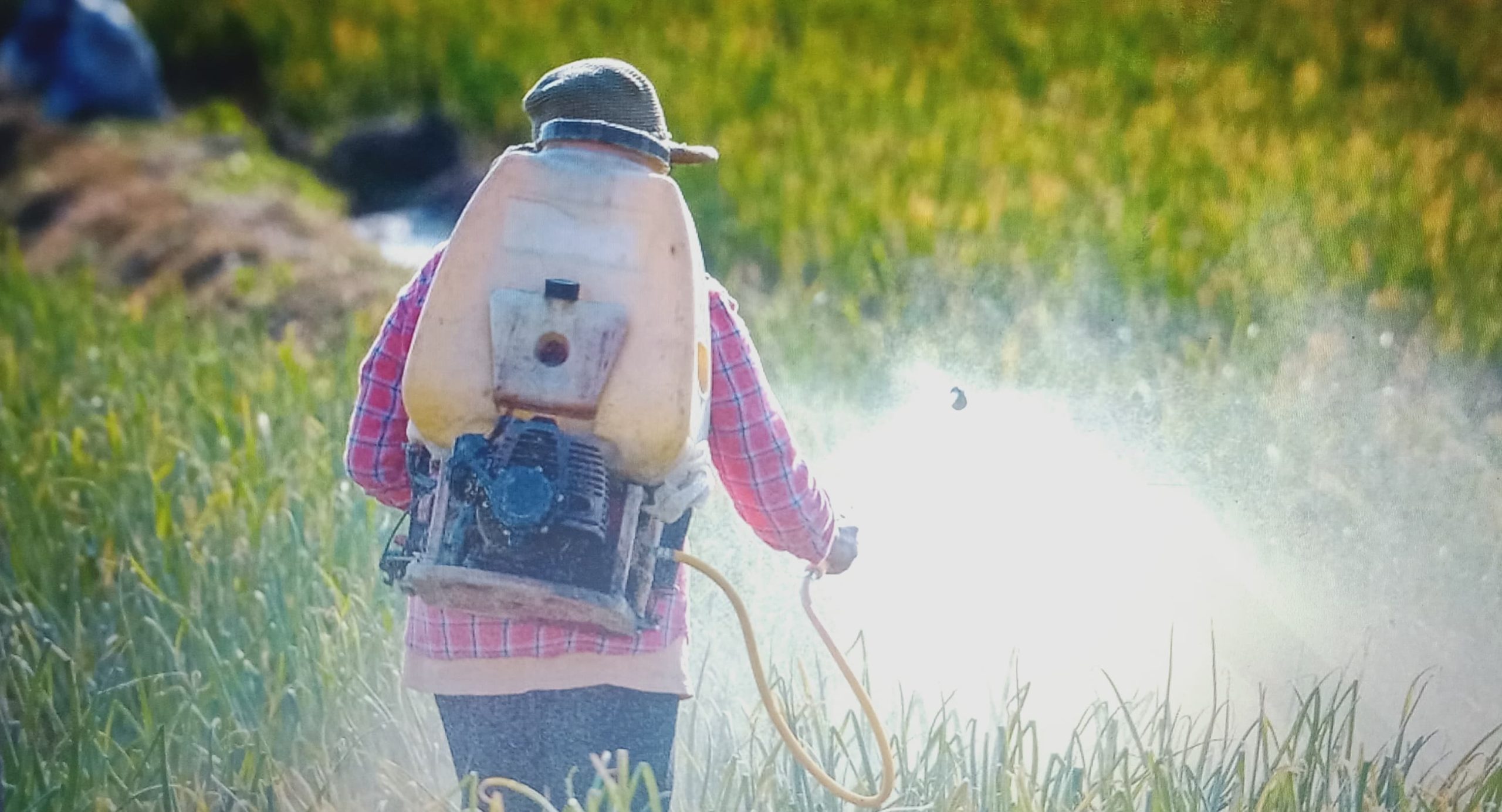#BerjalanDenganArdhani– Pestisida Berlebihan: Tanah Tercemar, Tanaman Terganggu 🚨
