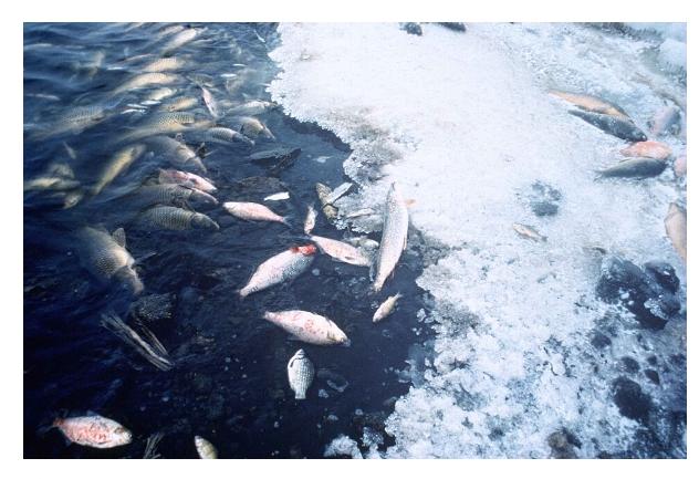 WhatsApp Image 2025-05-15 at 22.19.00